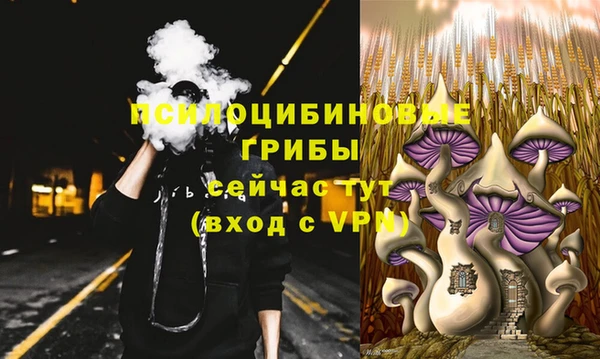 MDMA Алексеевка