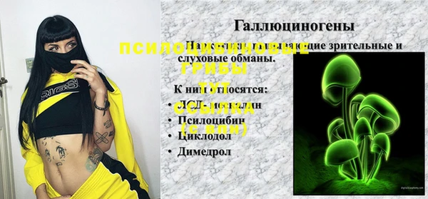 спиды Гусиноозёрск