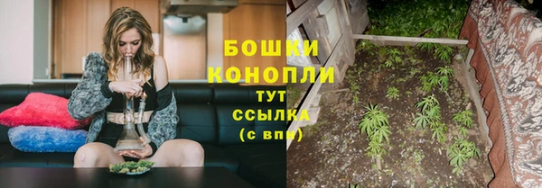 кокаин перу Дмитриев