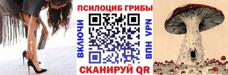 купить  сайты  Вышний Волочёк  Псилоцибиновые грибы мицелий 